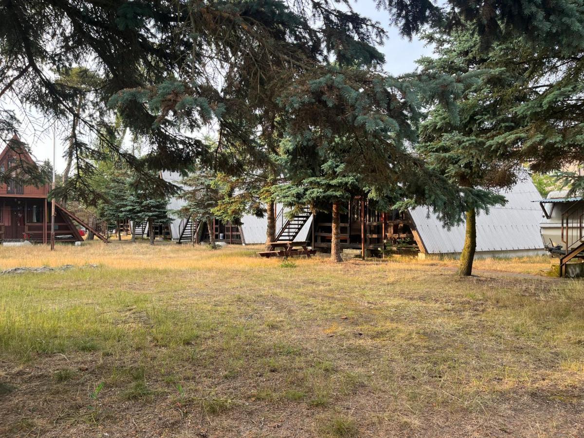 Sloneczna Osada Villa Dziwnówek Exteriör bild